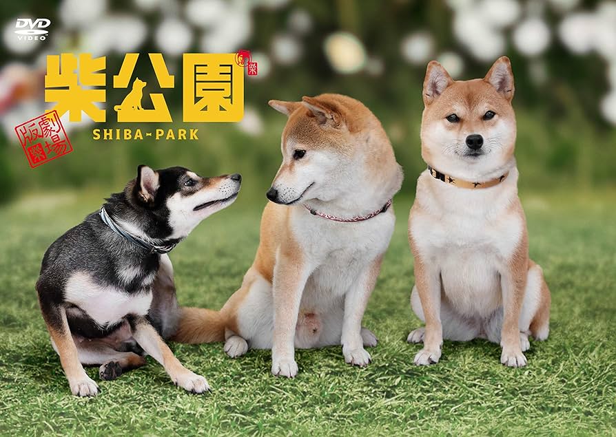 柴公園　ドラマ・劇場版　DVD BOXセット Amazon.co.jp: 劇場版 柴公園 [DVD] : 渋川清彦, 大西信満